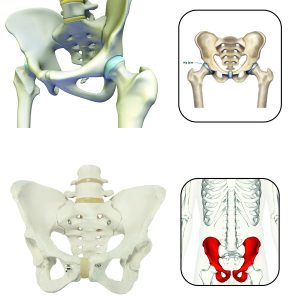 Trauma – Nebula Surgical Pvt. Ltd.